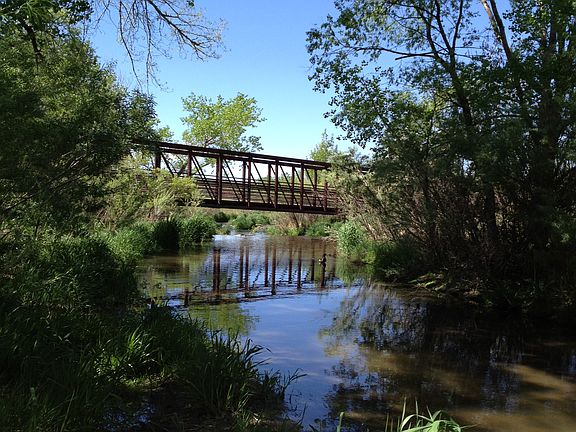 Along Cherry Creek Trail