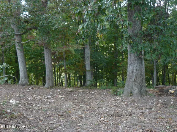 Old Cave Springs Rd, Tazewell, TN 37879