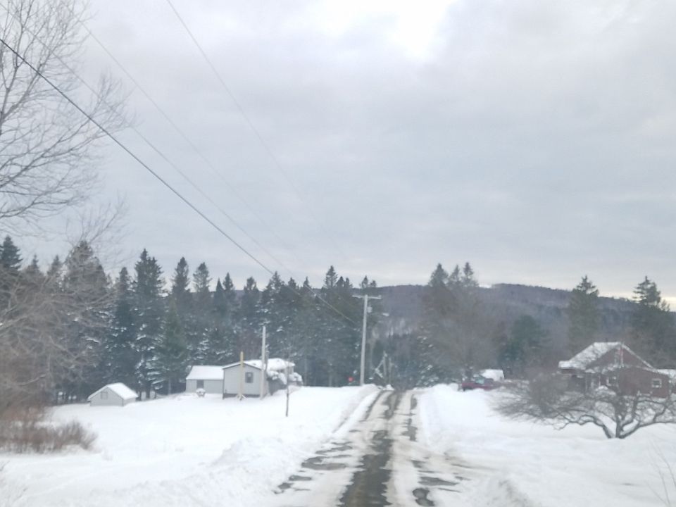2nd image of 50 Dalton Rd