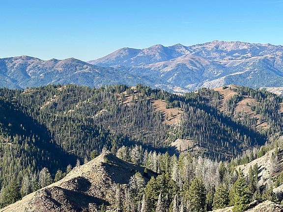 5th image of 1 National Forest Rd #227