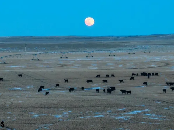 649 Pepper Creek Rd, Hay Springs, NE 69347