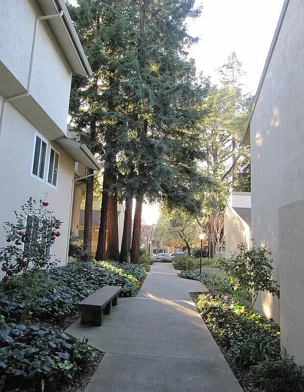 1 bed, 1.0 bath, 620 sqft, $1,595 — Photo 4
