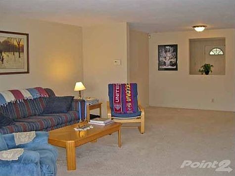 Huge Great Room