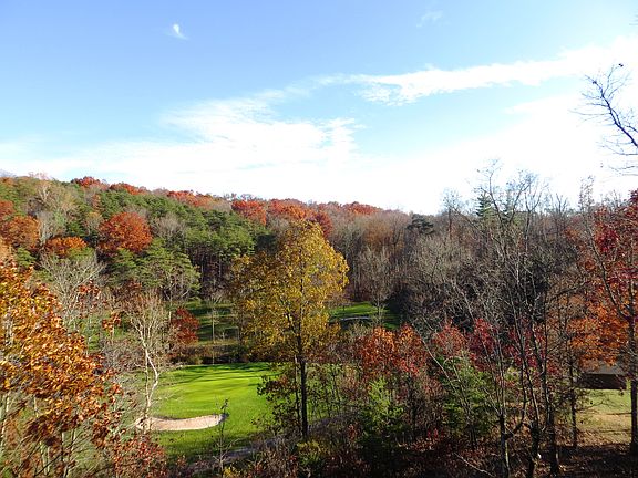 Lovely Fall Colors