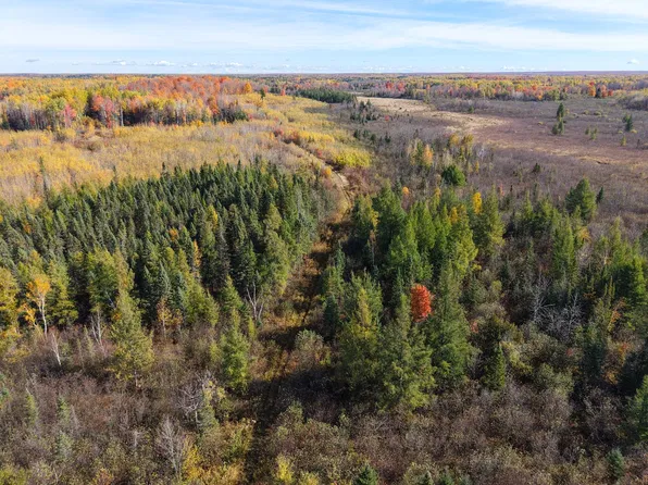 Off Bare Acres Ln, Phillips, WI 54555