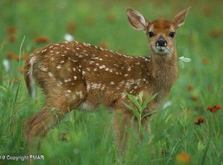 Lake Harmony Rd, Lake Harmony, PA 18624