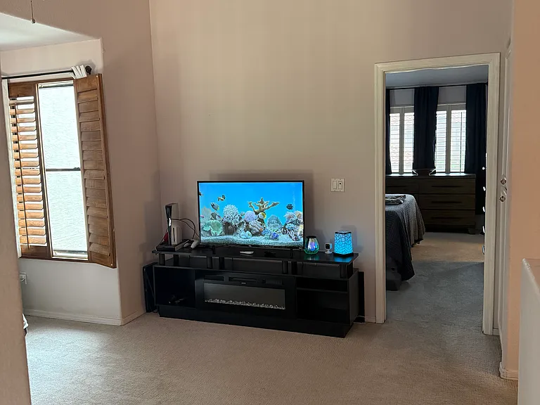W Mango Dr — Photo 9