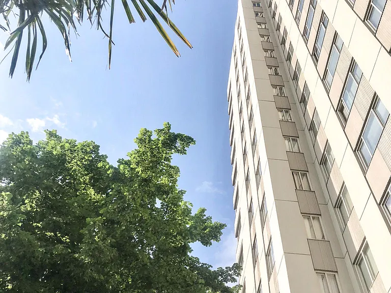 Looking Up