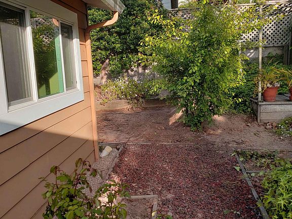 Back side yard view.