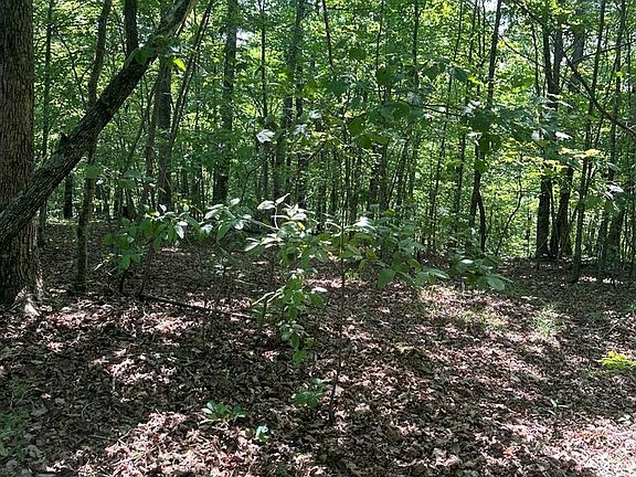 3rd image of LOT 323 Flat Top View Ln