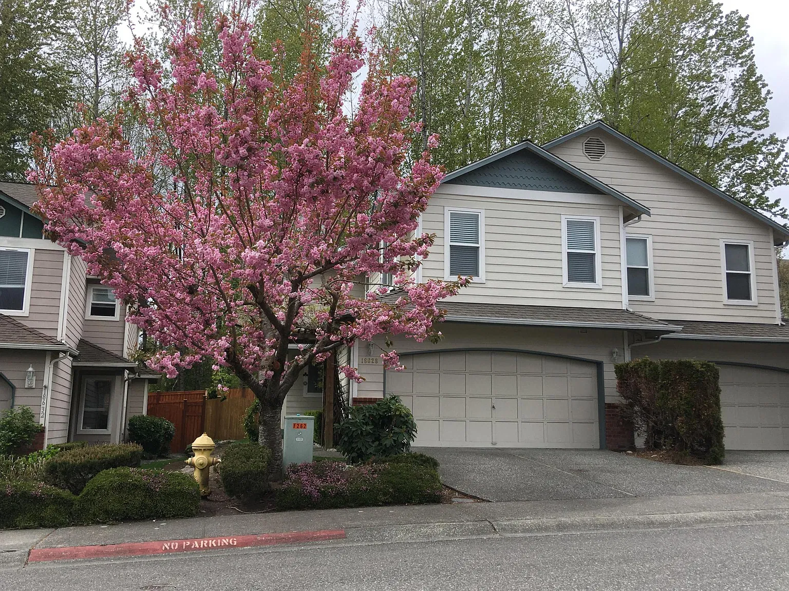 3 bed, 1515 sqft, $3,100 — Photo 2
