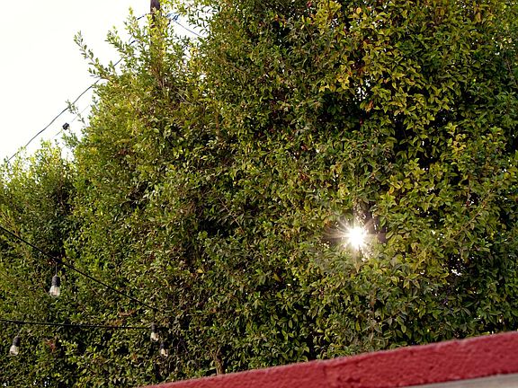 4th image of 3546 Dahlia Ave
