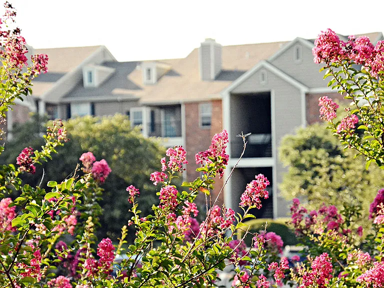 Beautiful Landscaping