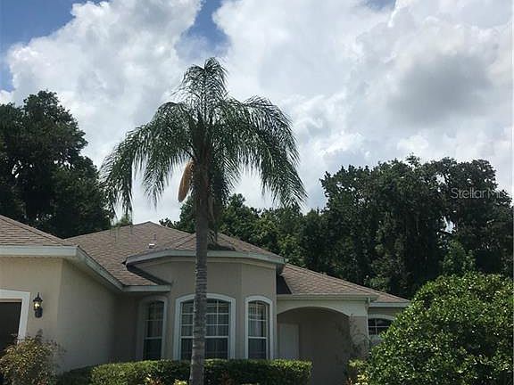 3rd image of 237 Magnolia Park Trl