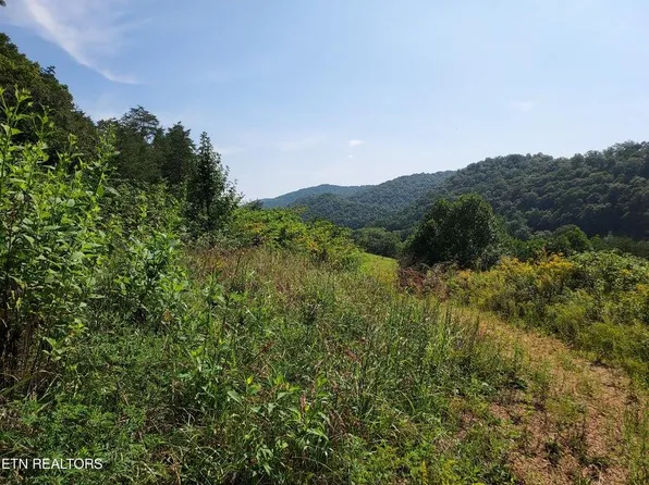 Main 27ac St, Sneedville, TN 37869