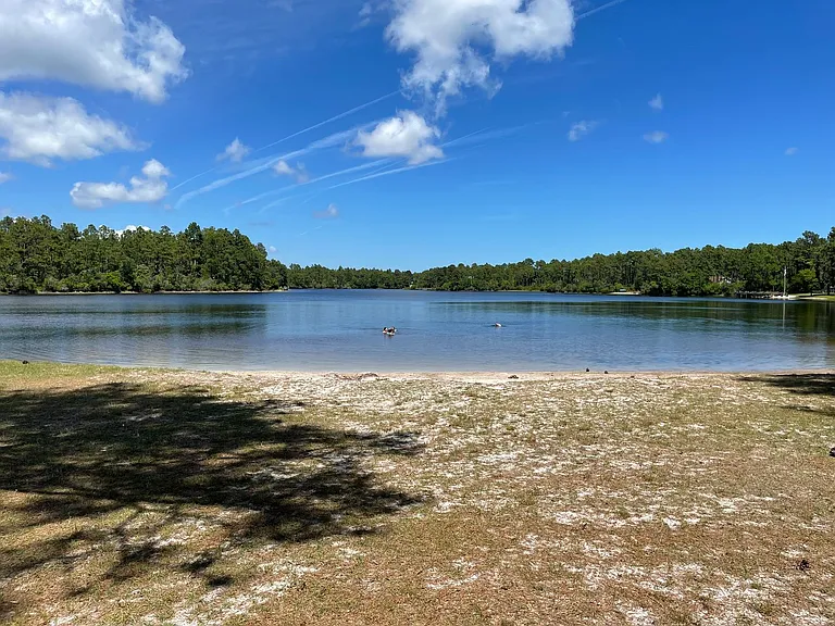 1136 Long Leaf Rd — Photo 40