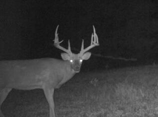 63C Rr 1, Nebo, IL 62355