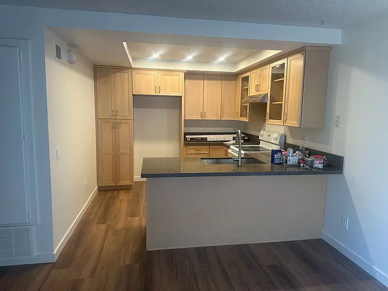 Kitchen with new cabinets, vinyl flooring, led lights, quartz countertops top