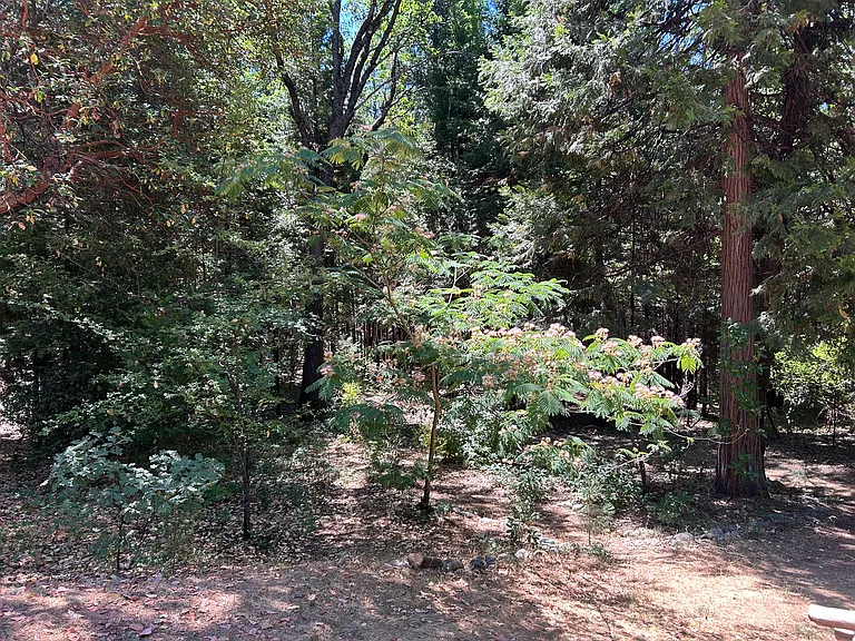 17347 Sunrise Rd — Photo 45