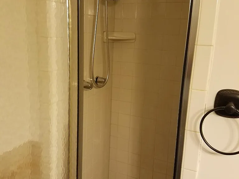 Walk-in shower in the private bathroom
