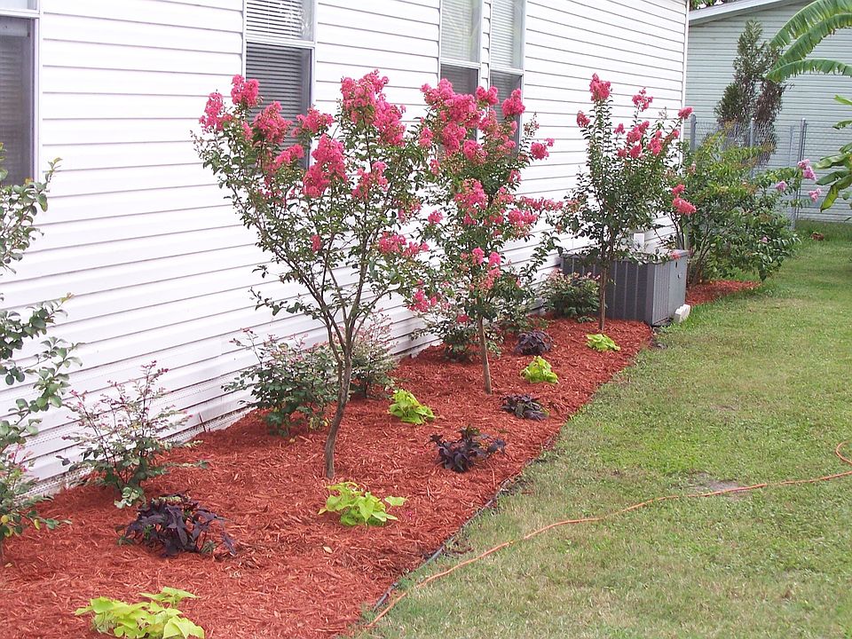 Landscaping along back of house.