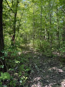 23701 60th Ave, Milaca, MN, 56353