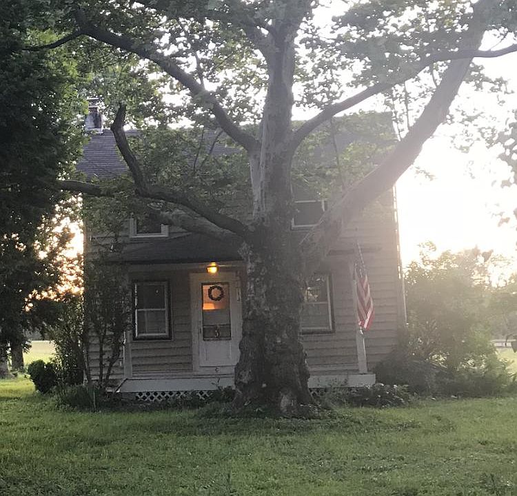 Front house