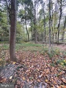 5 Clouser Hollow Rd, Elliottsburg, PA, 17024