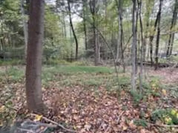 5 Clouser Hollow Rd, Elliottsburg, PA 17024