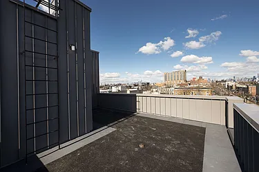 Rented by Bold New York