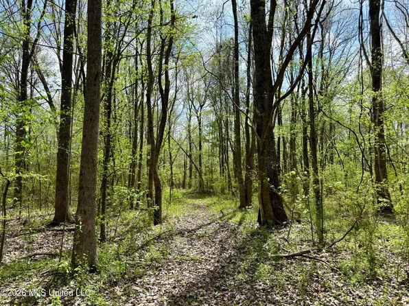 Duram Rd, Olive Branch, MS 38654