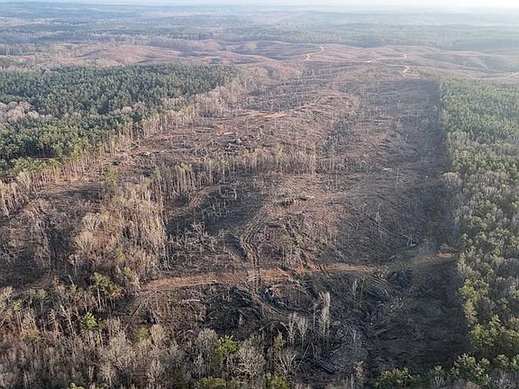 3rd image of 0 County Road 82