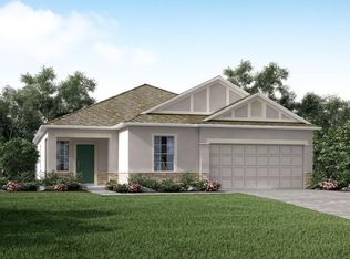 31137 Jazz Leaf Pl, San Antonio, FL 33576