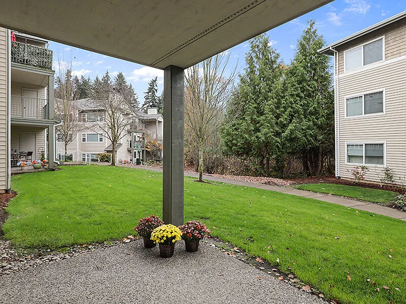 Woodview — Photo 3