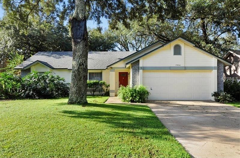 Large Park Like Front Yard