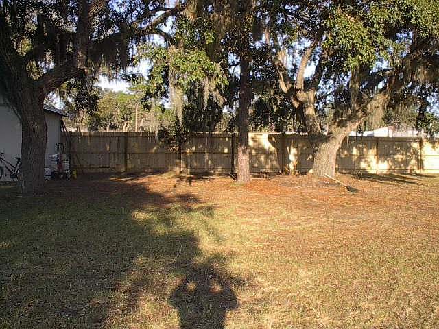 back yard 