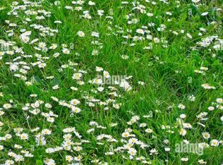 4 Coburn Woods Rd, New Durham, NH 03855