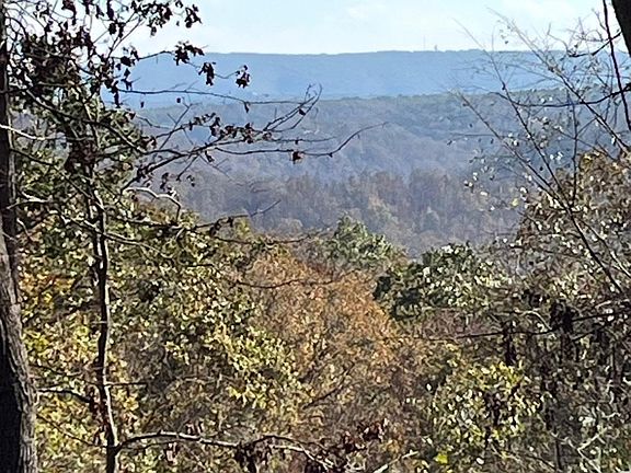 3rd image of 0 Grandpa Jones Rd