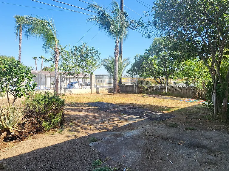 Front yard