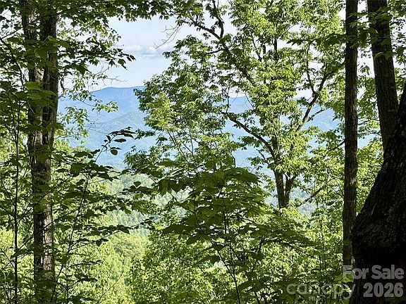 3rd image of 0 Carpenter Rd