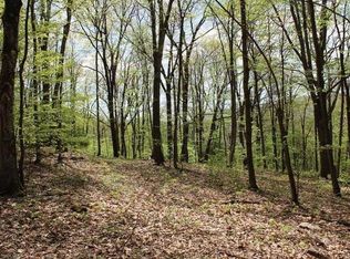 Old Dairy Rd LOT 12, Warm Springs, VA 24484