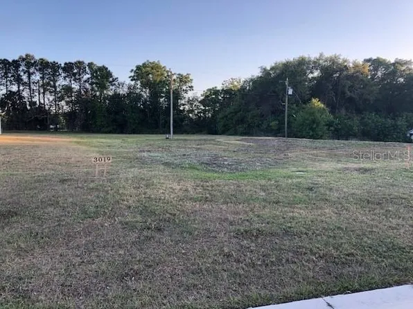3019 Merrill Ave, Clearwater, FL 33759
