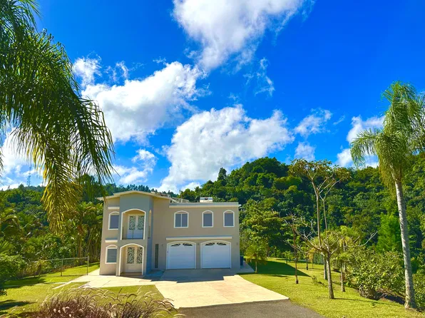 0 Bo Damian Arriba Sector, Orocovis, PR 00720
