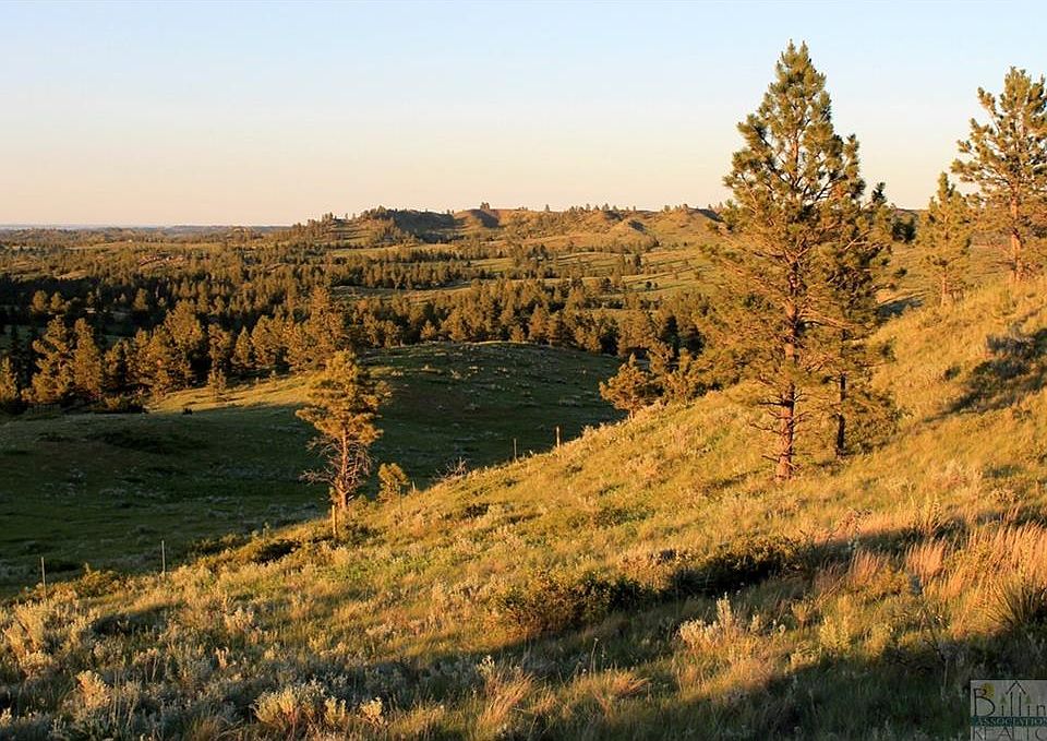 Nhn Rock Canyon Ln, Hysham, MT 59038 MLS 337317 Zillow