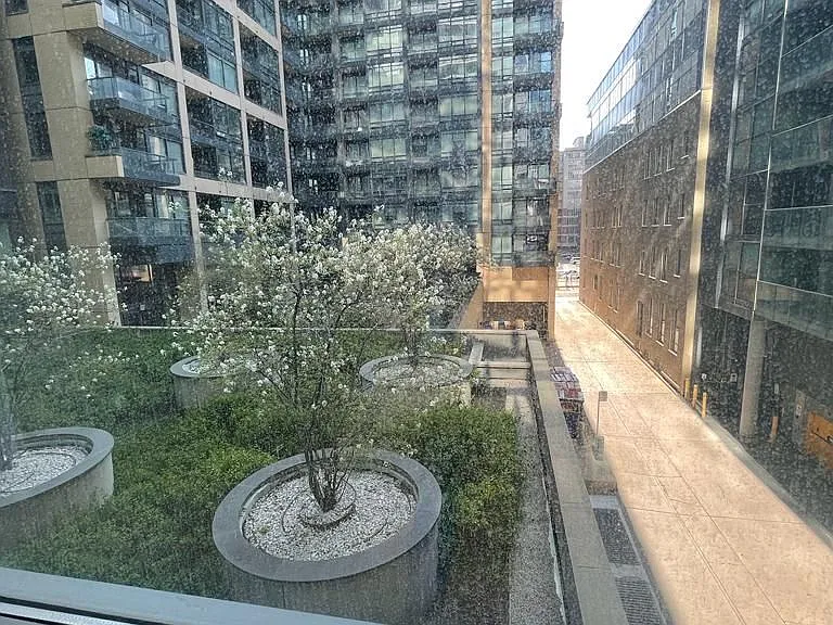 8 Charlotte St #302 — Photo 11
