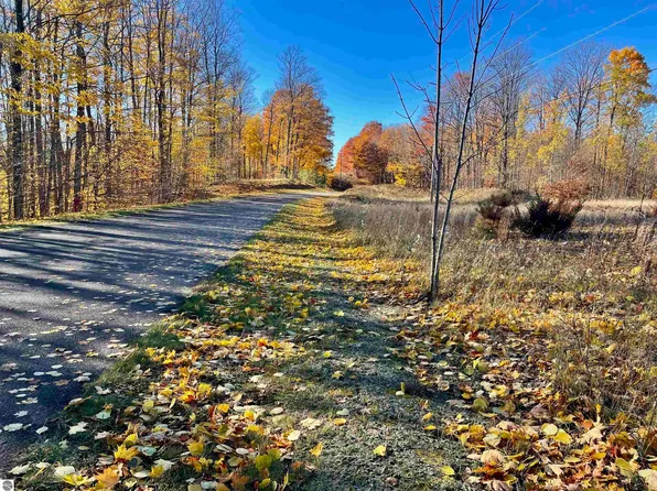 200 Raptor Run, Bellaire, MI 49615