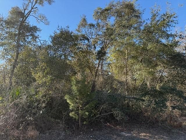 2nd image of SW 158th Street Rd Lot 14