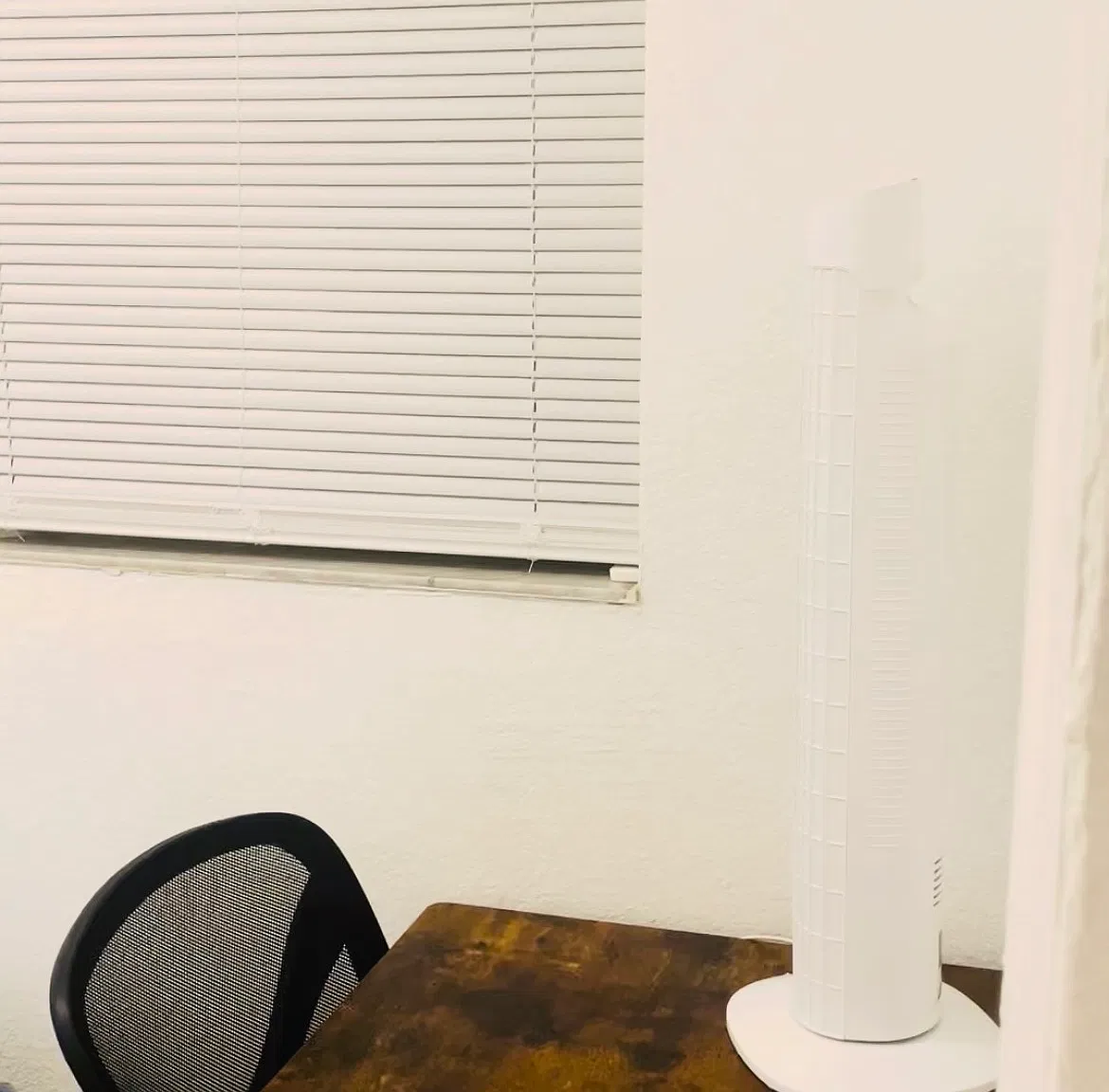 2 bed, 576 sqft, $1,100 — Photo 4
