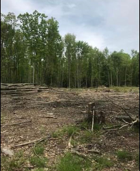 2 acres cleared 