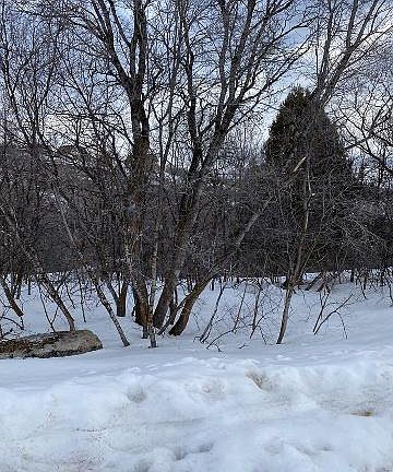 3rd image of 214 Juniper Dr Lot 491